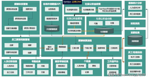 hr人事管理系统是企业优化薪酬管理的新策略,你用过吗